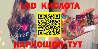 прущие грибы Комсомольск-на-Амуре