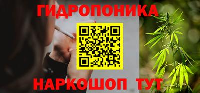 прущие грибы Комсомольск-на-Амуре