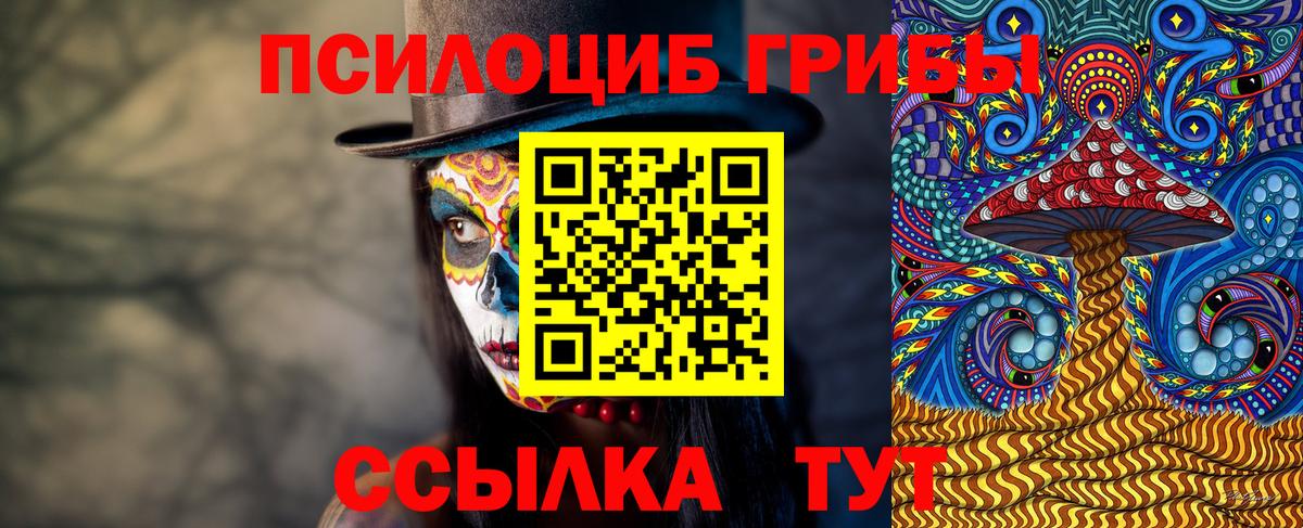 Псилоцибиновые грибы Cubensis  купить   Кирово-Чепецк  Вход с VPN 