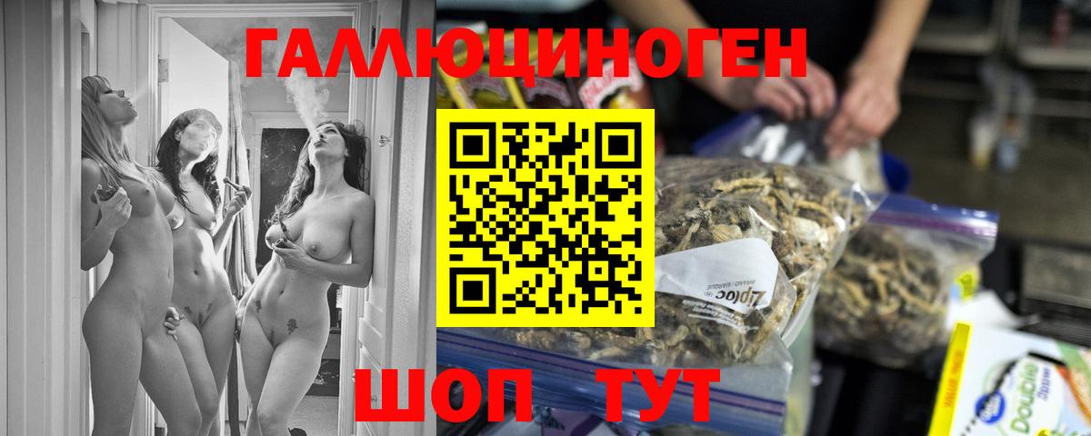 Псилоцибиновые грибы прущие грибы Кирово-Чепецк